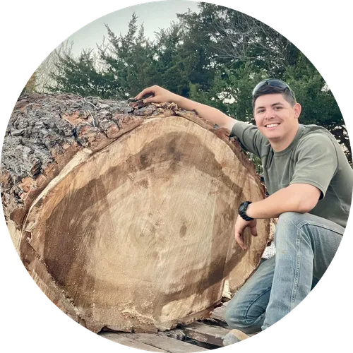 Logan Shimmer Tree Bid Pro Developer